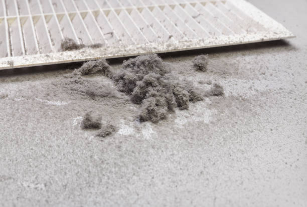 Best Affordable Duct Cleaning Services  in Friona, TX
