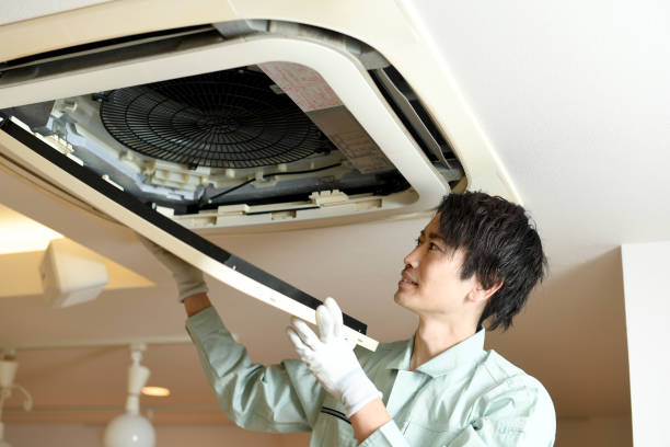 Best Home Air Vent Cleaning  in Friona, TX